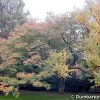Dumbarton Oaks